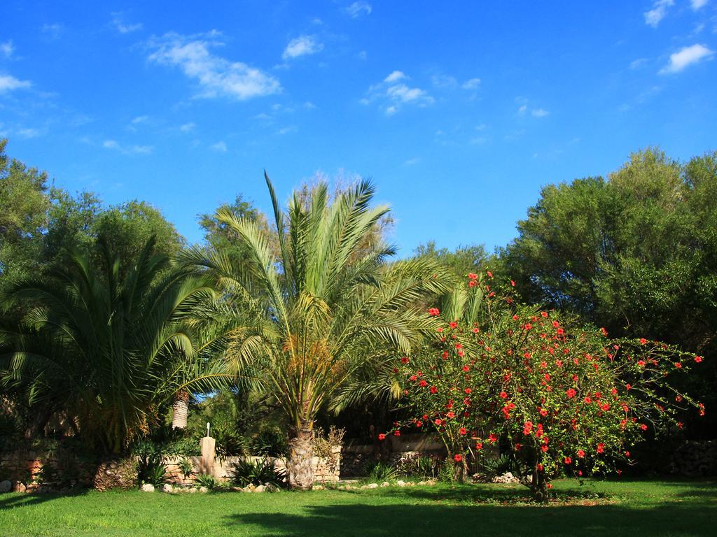 Finca Rural Predio Son Serra Lantställe *