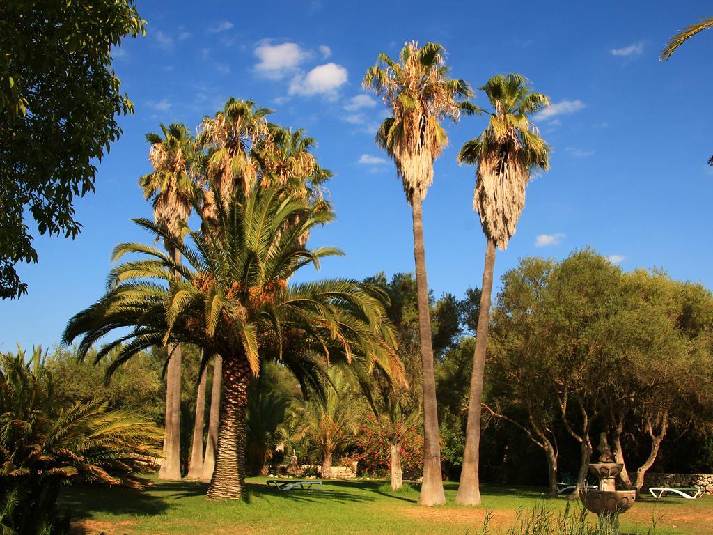 Finca Rural Predio Son Serra Lantställe Can Picafort (Mallorca)